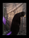 Reveal_1.png