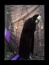 Reveal_2.png
